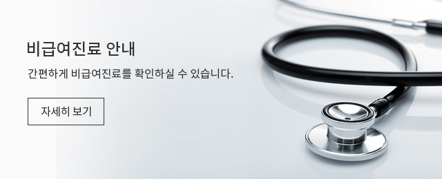 비급여진료 안내